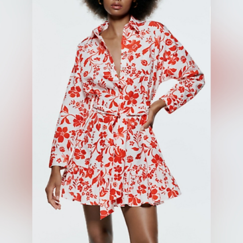 Zara Printed Mini Dress